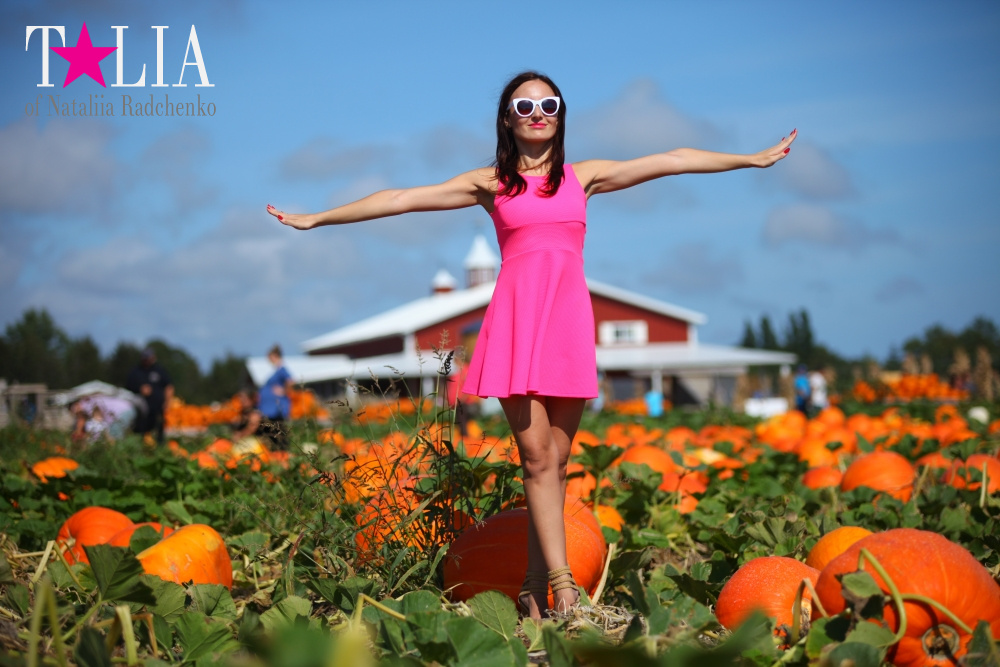 Кукурузный лабиринт и катание в бочках в HANK'S PUMPKINTOWN, the Hamptons, NY