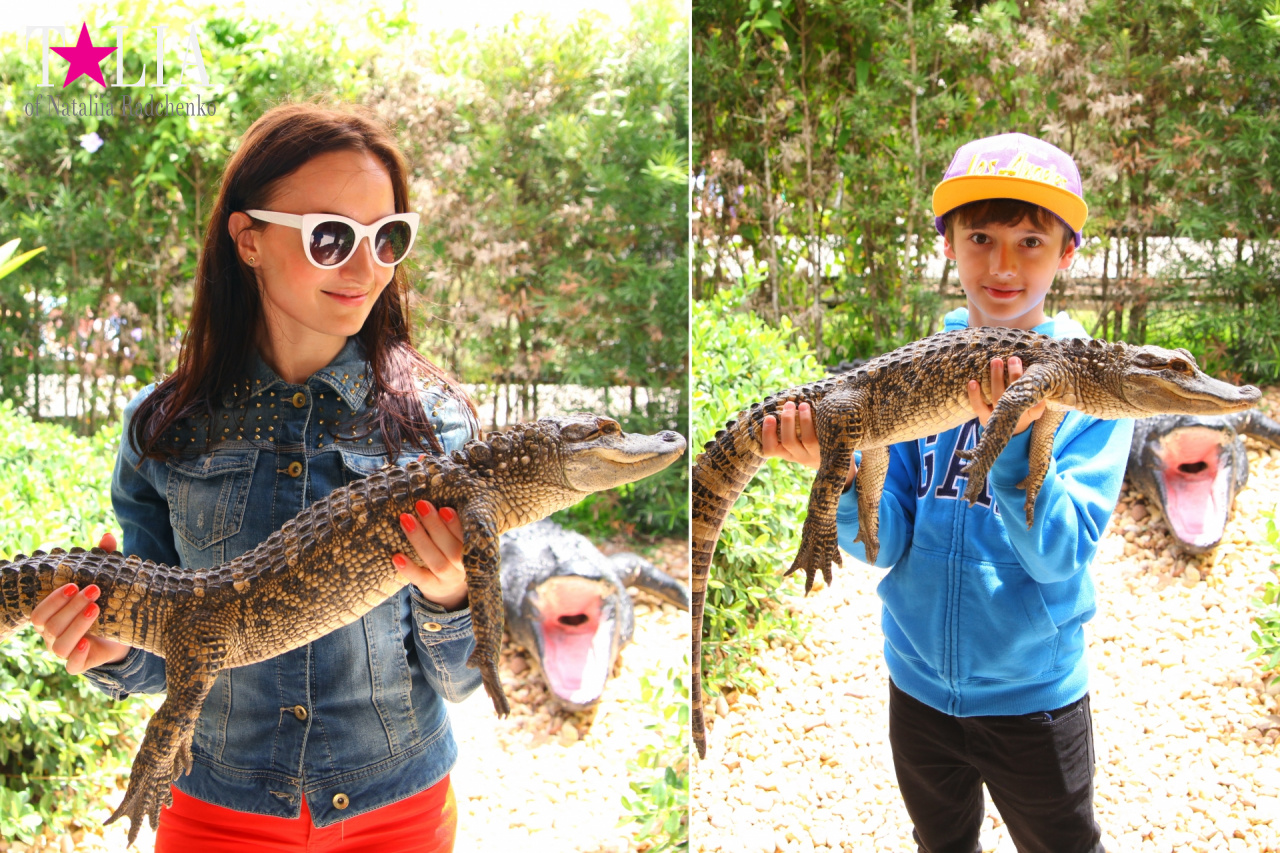 Шоу с крокодилами и другие развлечения Gator Park, Эверглейдс, Майами