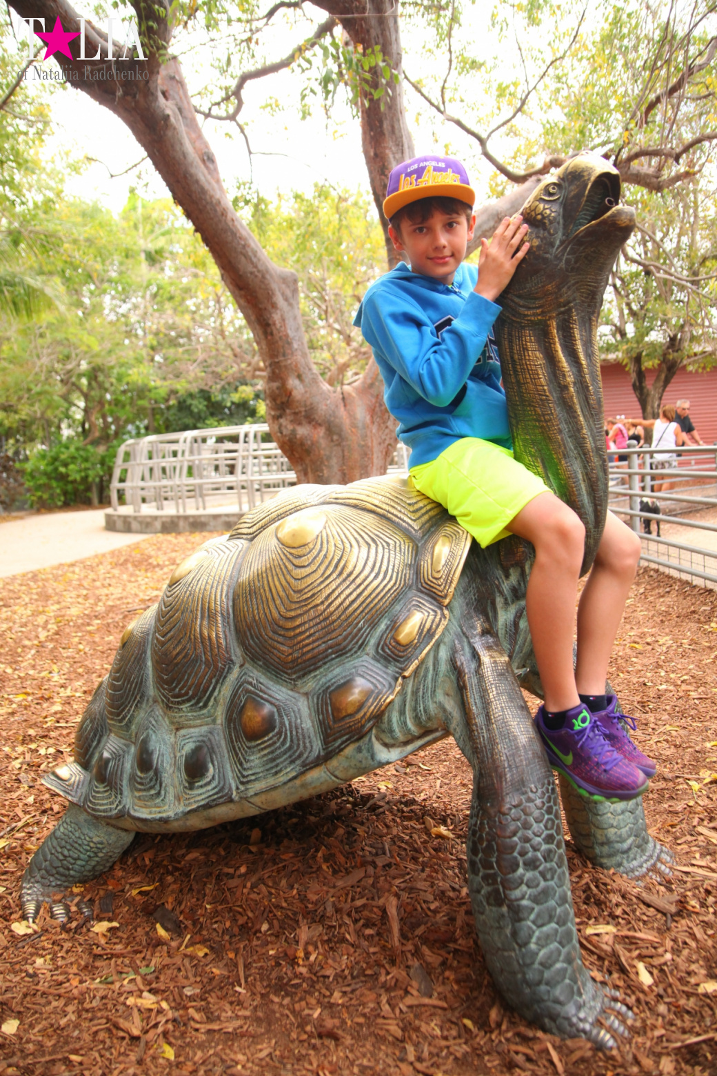 Kangaroos, tigers, turtles and goats of the Jungle Island, Miami